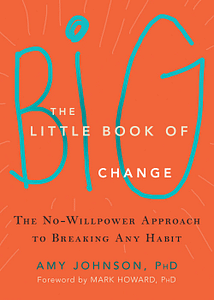 The Little Book of Big Changes - Amy Johnson