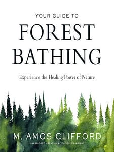 Your Guide To Forest Bathing - M. Amos Clifford